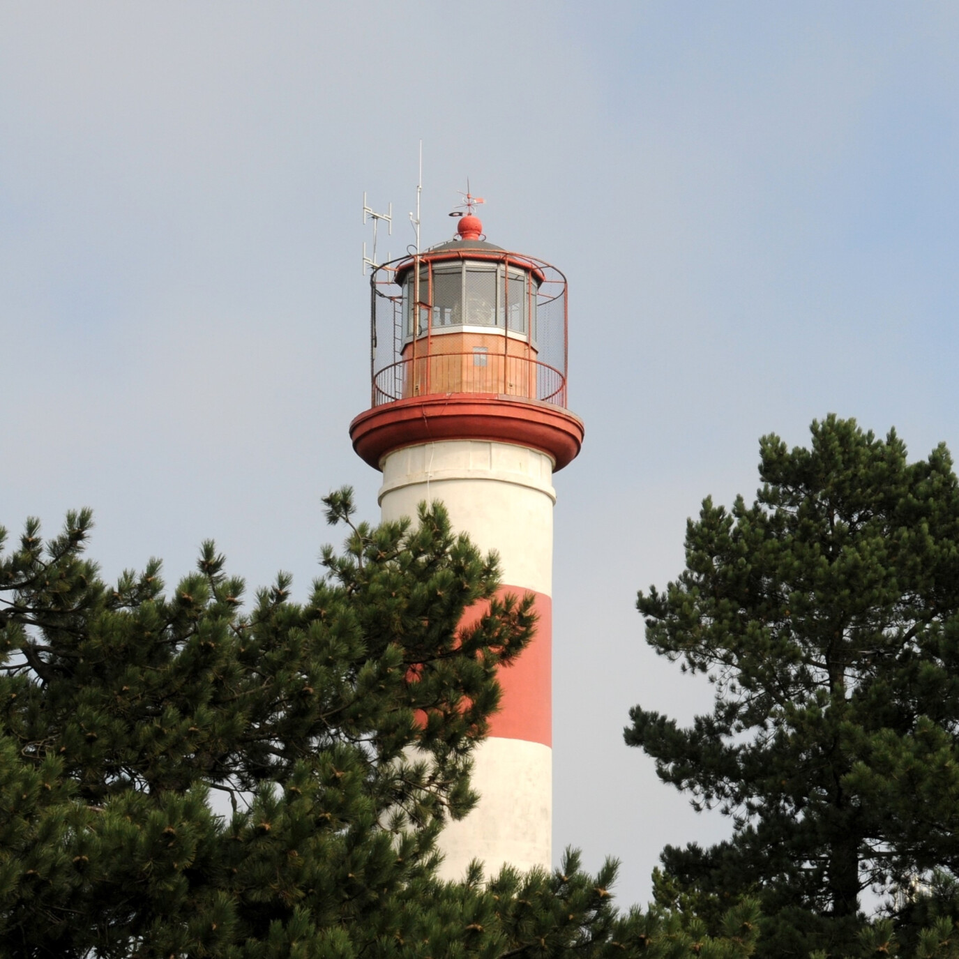 Phare — Dainava Trust
